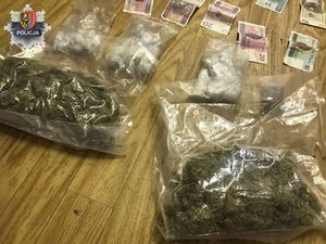 Policjanci zabezpieczyli ponad 500 działek narkotyków i zatrzymali 29-latka, który nimi handlował