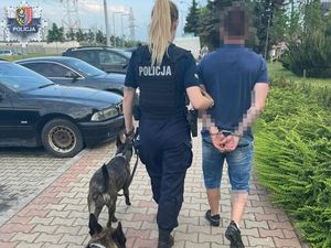 Przewodniczki z policyjnymi psami patrolują miasto i zatrzymują poszukiwanych