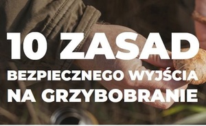 Bezpieczne grzybobranie