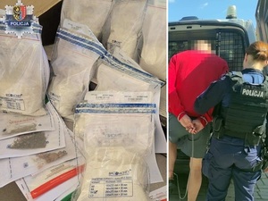 Chocianowscy policjanci „mieli nosa”: Funkcjonariusze zatrzymali dilera i wyeliminowali z rynku ponad 12 kilogramów narkotyków
