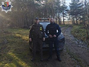 Choinka tylko z legalnego źródła: Wspólne patrole Straży Leśnej i Policji