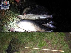 Kłusownicy zatrzymani przez policjantów: Usłyszeli zarzuty za nielegalny połów ryb, znęcanie się nad zwierzętami i zniszczenie mienia