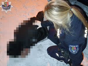 Usłyszał zarzuty: Uciekającemu przed Policją polkowiczaninowi grozi 5 lat więzienia