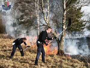 Policjanci pierwsi w walce z ogniem. Patrol ruszył do płonących traw i pomógł powstrzymać pożar przy lesie