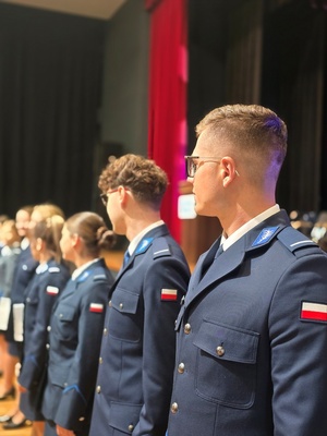 policjanci