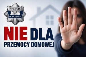 nie dla przemocy domowej